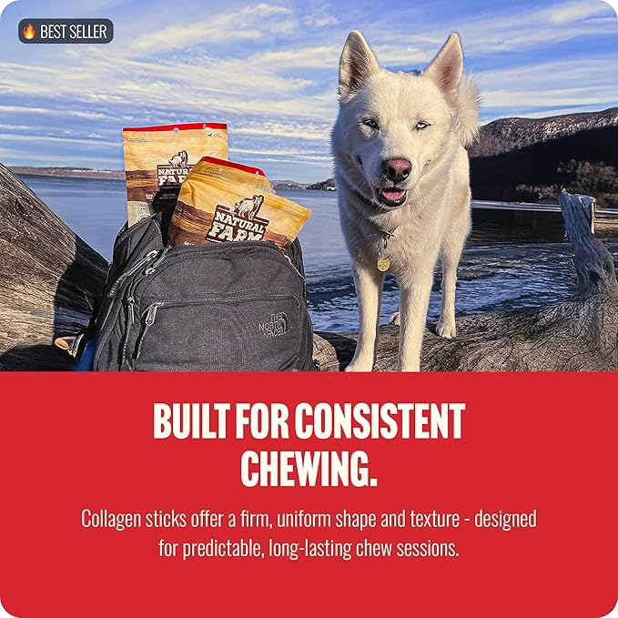 Natural Farm Odor-Free Super Braided Collagen Dog Chews (12-Inch, 10-Pack) First Ever Real Bull Sticks Alternative: 100% Natural Angus Hide Collagen Treats - More Protein More Chew Time for All Dogs