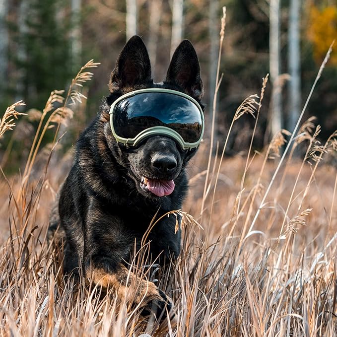 Rex Specs V2 Dog Goggles (X-Large, Black)