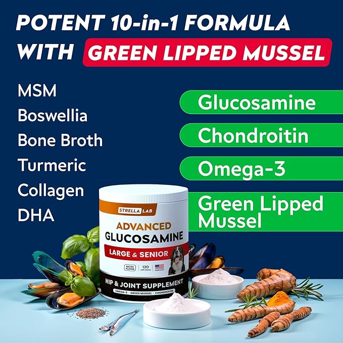 Advanced Glucosamine Hip & Joint Supplement for Senior Dogs - Green Lipped Mussel & Collagen - Hip & Joint Pain Relief - Large & Small Breed - Joint Health - Bacon - 120 Chews