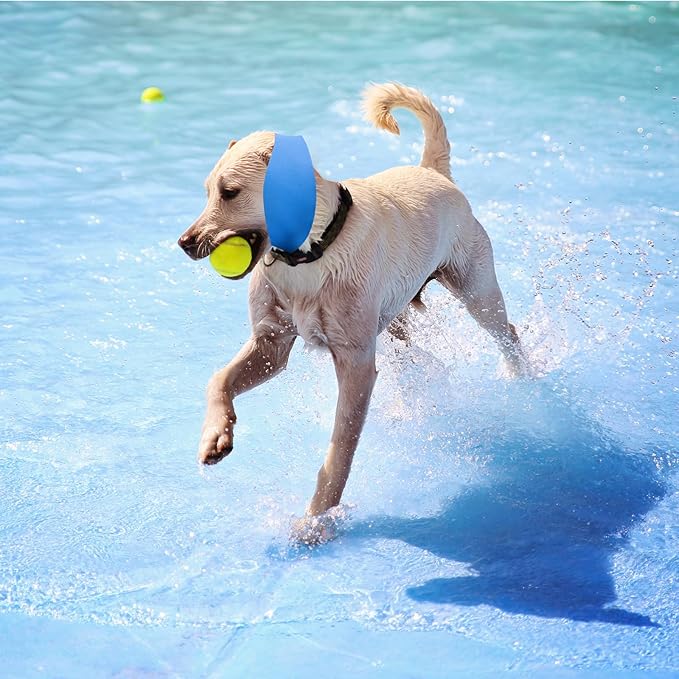 3PCS Dog Swim Cap Plugs, Waterproof Dog Bath Cap Ear Covers for Ear Protection for Bath, Swimming, Pet Grooming -Supply for Small Medium Large Dogs Puppies, Blue