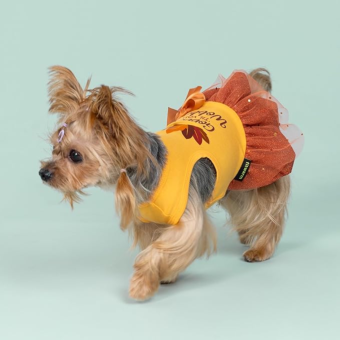 Fitwarm Gobble 'til You Wobble Dog Dress, Funny Thanksgiving Outfit for Small Dogs Girl, Festive Pet Clothes, Yellow, Orange, Small