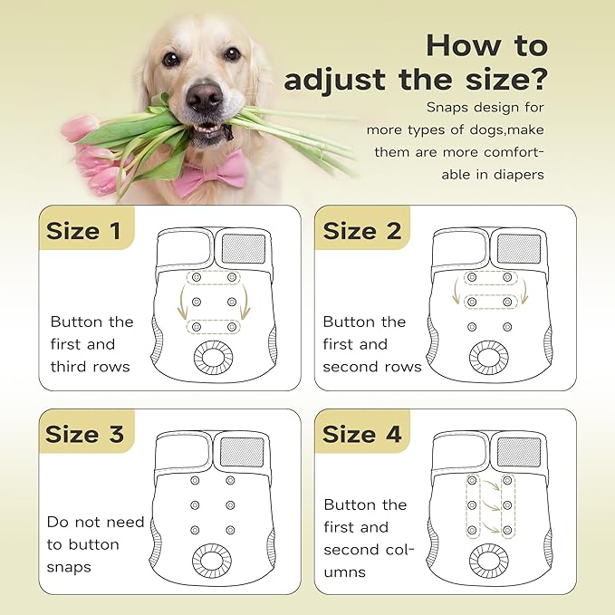 Paw Legend Washable Reusable Female Dog Period Diapers for Heat Doggie Puppy Diapers for Female Dogs (3 Pack, Large)