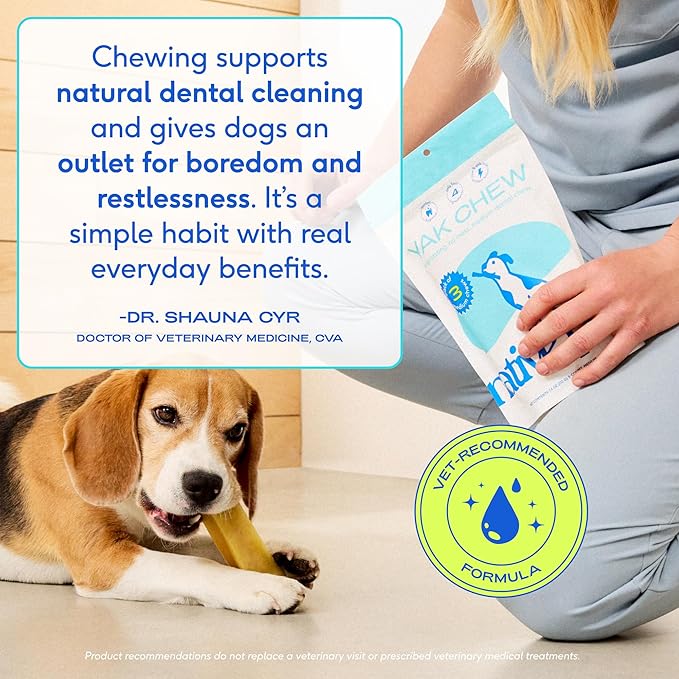 Native Pet Yak Cheese Himalayan Dog Chews - Long Lasting Dental Sticks for Medium Breeds – 100% All Natural Himalayan Yak Chews for Medium Dogs – Cheese Bone for Aggressive Chewers - 3 Per Pack