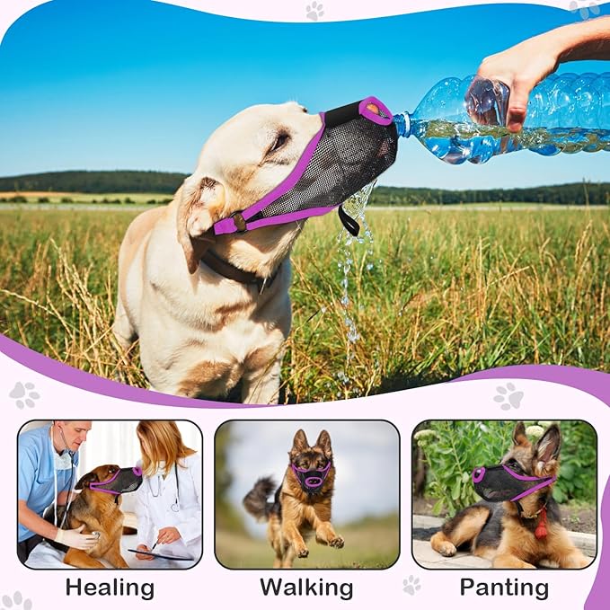 Dog Muzzle with Front Opening for Training and Treats, Breathable Air Mesh Muzzle for Biting Chewing Scavenging, Soft Lightweight Adjustable Mouth Guard for Small Medium Large Dogs(Purple,XL)