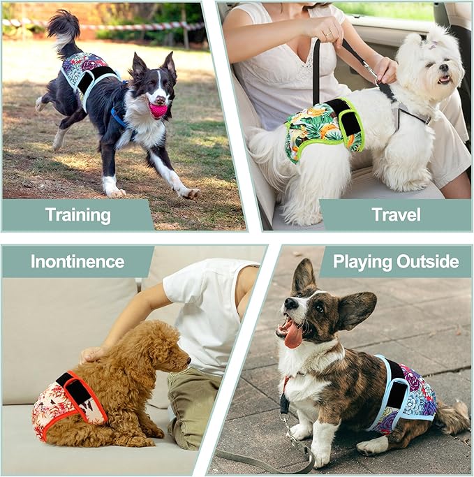 Washable Female Dog Diapers - Premium Reusable Diapers for Doggie in Heat - Highly Absorbent Dog Diapers Female for Pet Incontinence with Adjustable Snaps (Succulents, M)
