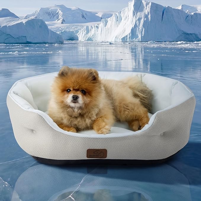 Bedsure Cooling Dog Beds for Small Dogs - Round Medium Cat Beds for Indoor Cats, Washable Pet Bed for Puppy and Kitten with Slip-Resistant Bottom, 25 Inches, Arctic Blue