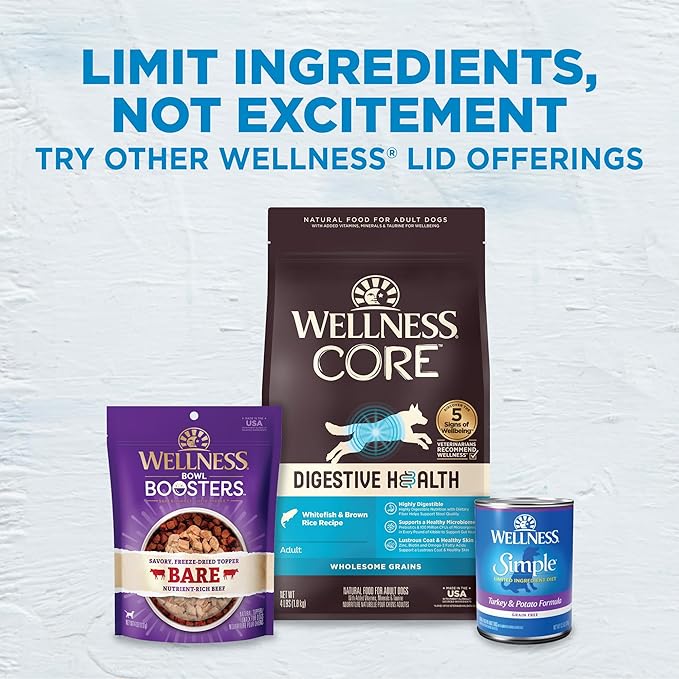 Wellness Simple Limited Ingredient Dry Dog Food for Sensitive Stomachs, Supports Skin & Coat, Wholesome Grains, Natural, Lamb & Oatmeal Recipe,(40-Pound Bag)