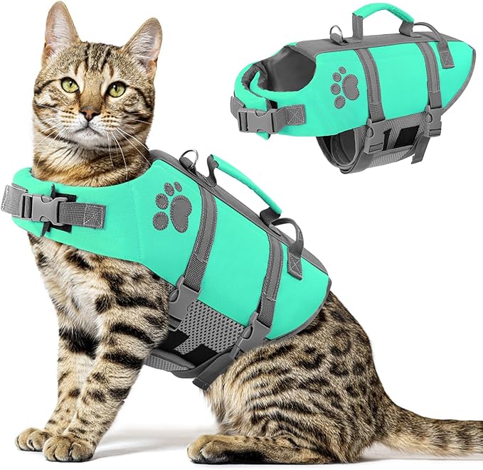 Queenmore Cat Life Jacket, Puppy Life Vests for Small Dogs XXS, Lightweight & Non-Bulky Extra Small Pet Water Floats PFD for Swimming & Boating with Rescue Handle, Leash Hook, Reflective Stripes