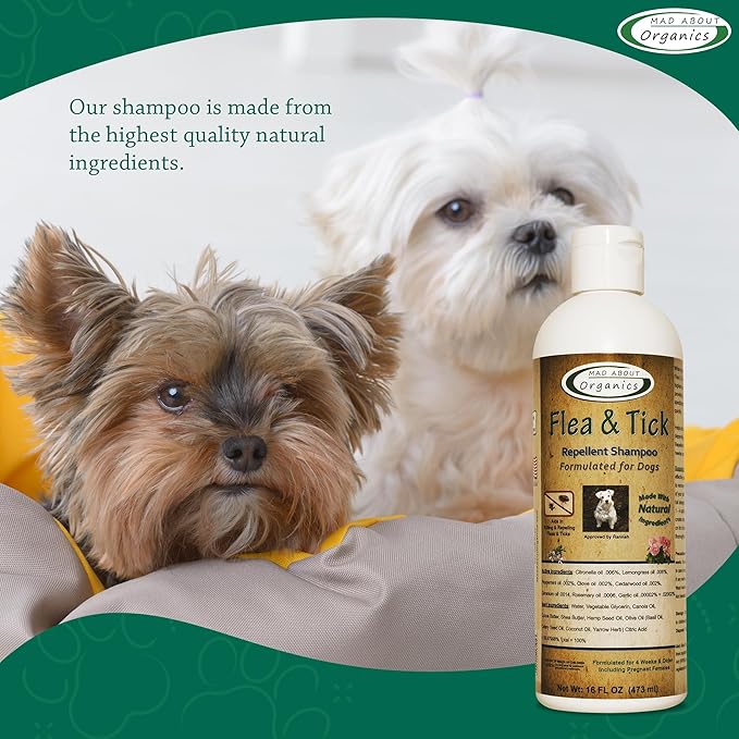 Flea & Tick Protection Shampoo for Dogs – Formulated to Deter Bugs – Gentle for Puppies 4 Weeks & Older and Suitable for Pregnant Dogs – pH Balanced for Regular Use, 16 FL OZ