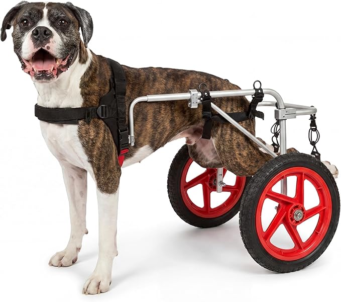 Large Back Leg Dog Wheelchair | 2.0 Design | 2026 Updated Model