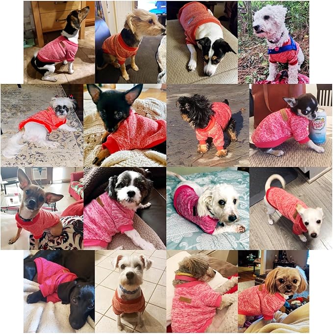 Jecikelon Dog Clothes Dogs Sweater Soft Puppies Clothing Winter Puppy Sweaters Warm Outfit for Dogs Small XXS XS Cat Apparel (Red, XXS)