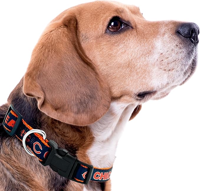 Pets First NFL Chicago Bears Pet Collar, Medium, CHI-3036-MD