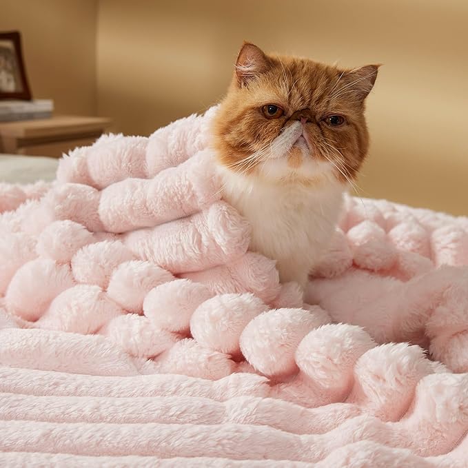 Bedsure Twin Blanket for Bed - 350GSM Super GentleSoft Fuzzy Fluffy Cozy Blankets for Women, Cute Small Plush Fleece Throws for Girls, Pink，60x80 Inches, Wider Striped Design