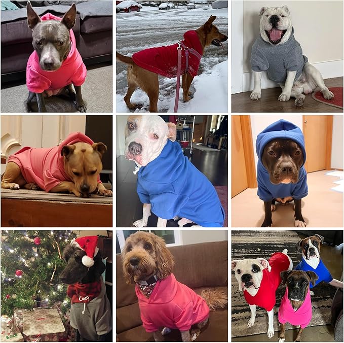 KOOLTAIL Dog Hoodie for Large Medium Small Dogs,Soft&Warm Pet Sweater with Leash Hole and Pocket Boy Girl, Puppy Fall Winter Jacket Clothes,French Pitbull Cold Weather Coat Sweatshirt,Lavender S