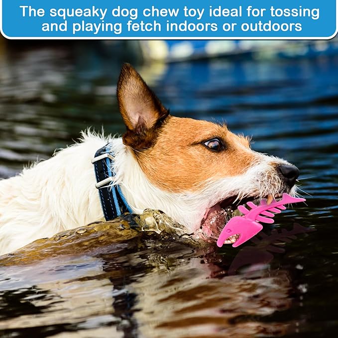 4 Pack Floating Dog Toys for Aggressive Chewers Summer Interactive Fetch Games Natural Teeth Cleaning for Small Medium Dogs Shark Dino Fish Starfish Set