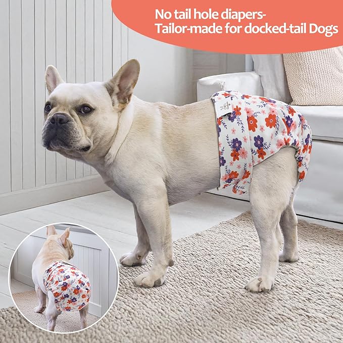 CuteBone Washable Dog Diapers Female No Tail Hole 3 Pack Reusable Doggie Period Training Pants for Docked-Tail Frenchie French Bulldog Boston Terrier Without Tail WWD35XL