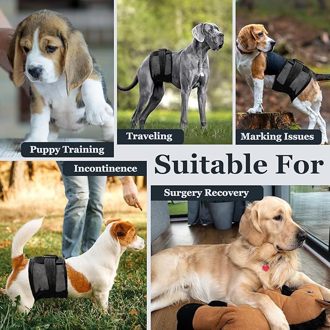 3-Pack Dog Diapers Male–Reusable & Washable Belly Bands for Dogs, Breathable Air-Mesh Fabric,for Doggie & Puppy in Incontinence or Excitable Urination and Training (Black, L, Count, 3)