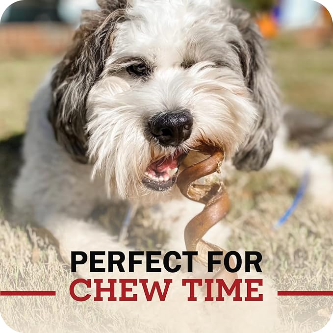 Redbarn Pet Products 7" Braided Bully Sticks for Dogs - Natural, Grain-Free, Highly Palatable, Long-Lasting Dental Chews Sourced from Free-Range, Grass-Fed Cattle, 3-Count, Pack of 12