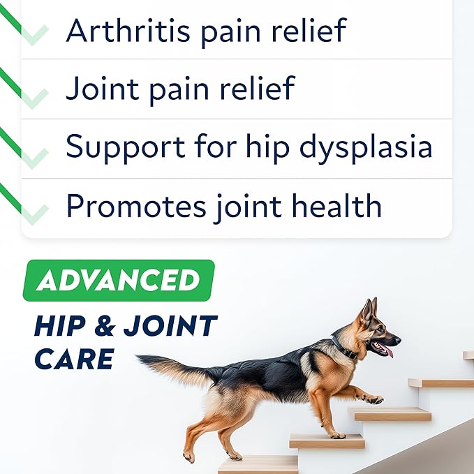 Advanced Glucosamine Hip & Joint Supplement for Senior Dogs - Green Lipped Mussel & Collagen - Hip & Joint Pain Relief - Large & Small Breed - Joint Health - Bacon - 120 Chews