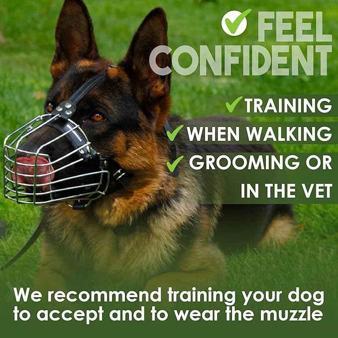 BRONZEDOG Wire Basket Dog Muzzle, Breathable Metal Mask for Small, Medium & Large Dogs, Adjustable & Padded, Training & Behavior Support (Size 6)