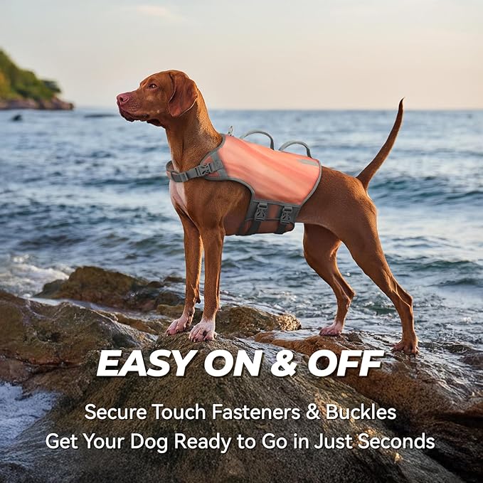 VIVAGLORY Neoprene Dog Life Vest, Dog Life Jacket for Swimming & Boating, Lightweight & Buoyancy for Puppy Doggy, Swimming Vest with Handle, XL, Pink Desert