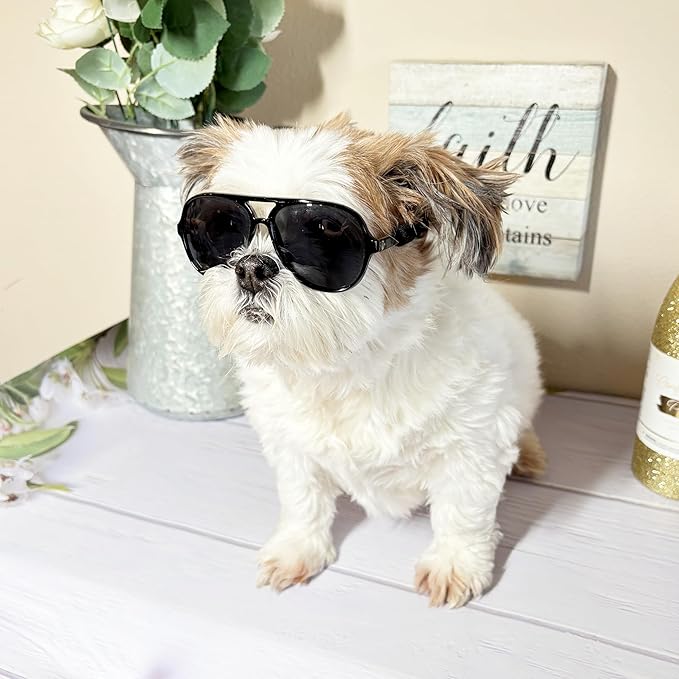 G048 Dog Pet Cat Costume Retro Aviator Sunglasses Adjustable for Small-Medium Dogs Approximately 12-30 lbs Party Prop Cosplay Photoshoot (Aviator Black)