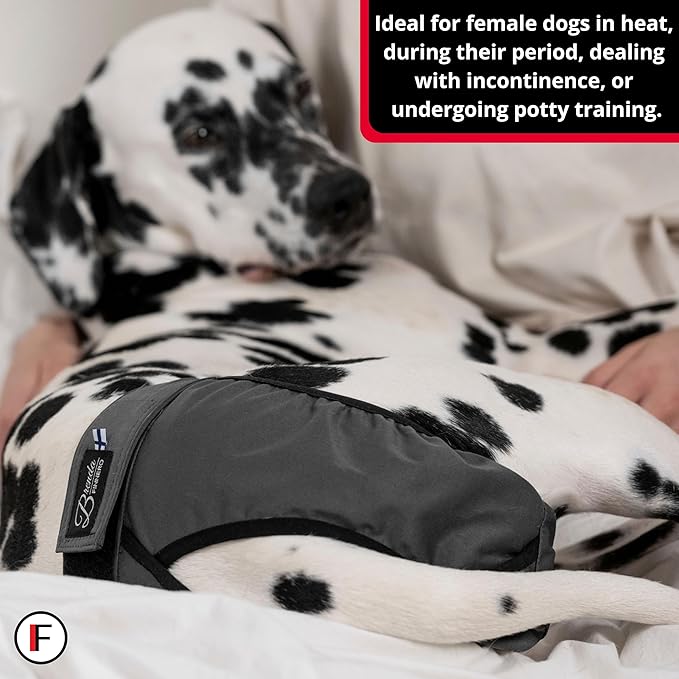 FINNERO Brenda Reusable Dog Diaper, Leak-Proof, Adjustable, Heat & Incontinence Protection, XL – Gray