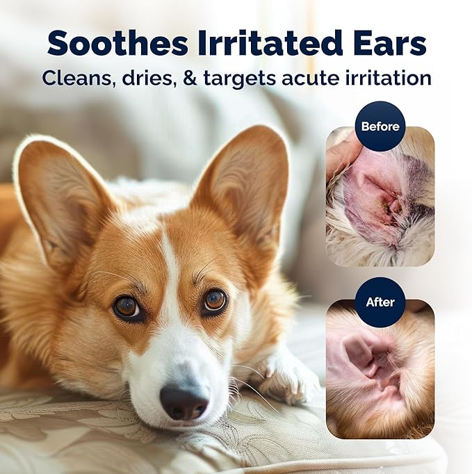 Vetnique Oticbliss Cat & Dog Ear Wipes - Dog Ear Infection Treatment or Dog Ear Cleaner Wipes for Dirty, Waxy, Smelly Dog Ears, Odor Control with Aloe Vera & Salicylic Acid (Medicated Ear Wipes)