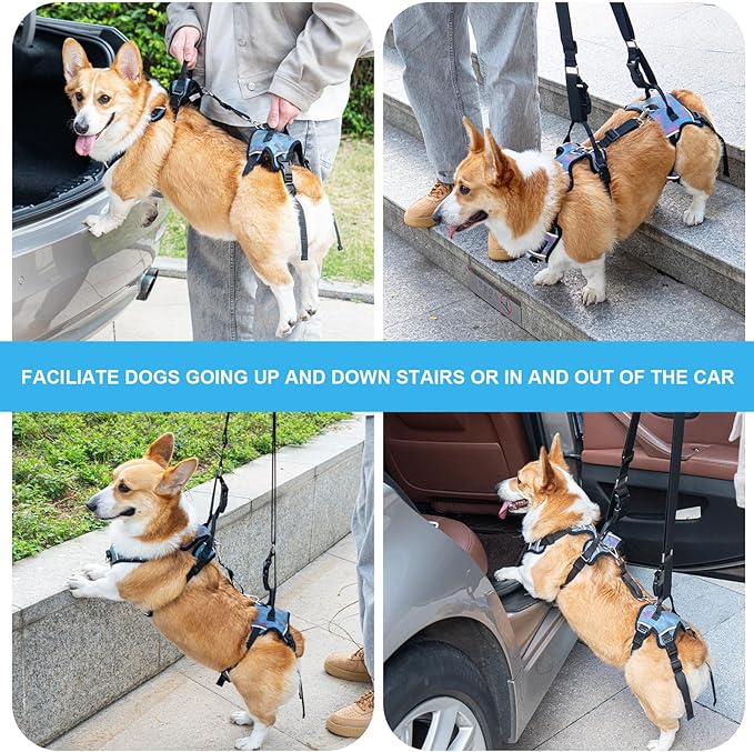 Dog Lift Harness, Dog Lift Sling Carrier with Handle & Shoulder Sling, Support Harness for Rear Back Legs Helps,Disabled,Arthritis,Joint Injuries,Paralysis Up Stairs（Blue,Large）