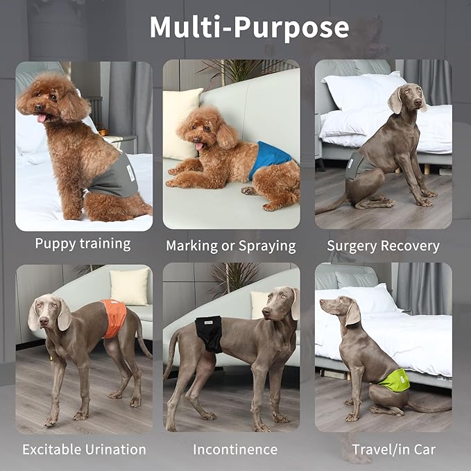 Reusable Dog Belly Bands for Male Dogs Diapers,5 Pack Premium Washable Dog Diapers Male Puppy Nappies Wrap,XS