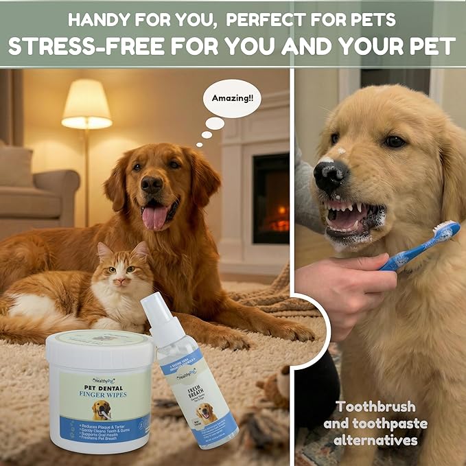 Pet Dental Finger Wipes for Dogs & Cats – 50 Mint Flavor Dog Dental Wipes + Mint Fresh Breath Spray, Dog Tooth Brushing Kit, Helps Remove Bad Breath & Plaque & Tartar Buildup
