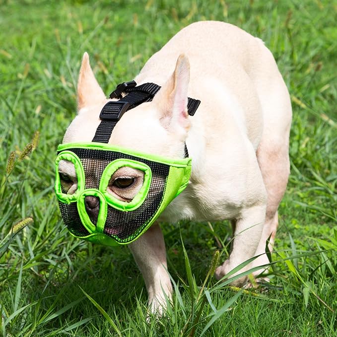 Short Snout Dog Muzzles- Adjustable Breathable Mesh Bulldog Muzzle for Biting Chewing Training Grooming Dog Mask,Green L