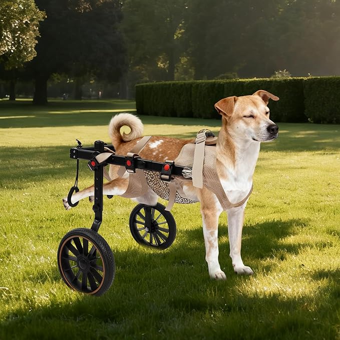 Pet Rehabilitation Walking Aid for Large Dogs, Adjustable 2-Wheel Dog Wheelchair for Back Legs with Breathable Mesh Harness for Senior Disabled Dogs Recovery Support