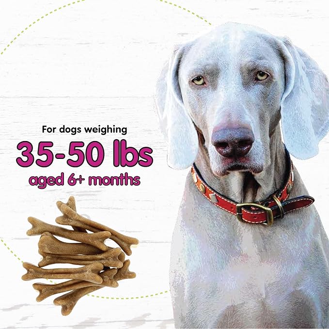 Fido - Belly Bones for Dogs, Yogurt Flavored Medium Dog Dental Treats - 8 Treats Per Pack (3 Pack) - (Made in USA) - Plaque and Tartar Control for Fresh Breath, Digestive Health Support