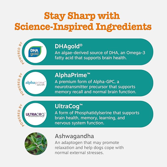Zesty Paws Advanced Cognition Soft Chews for Dogs - with Omega 3 DHA, Ashwagandha & Alpha GPC - for Senior Dog Brain Health & Nervous System Support - Supplement for Calming & Relaxation - 90 Count