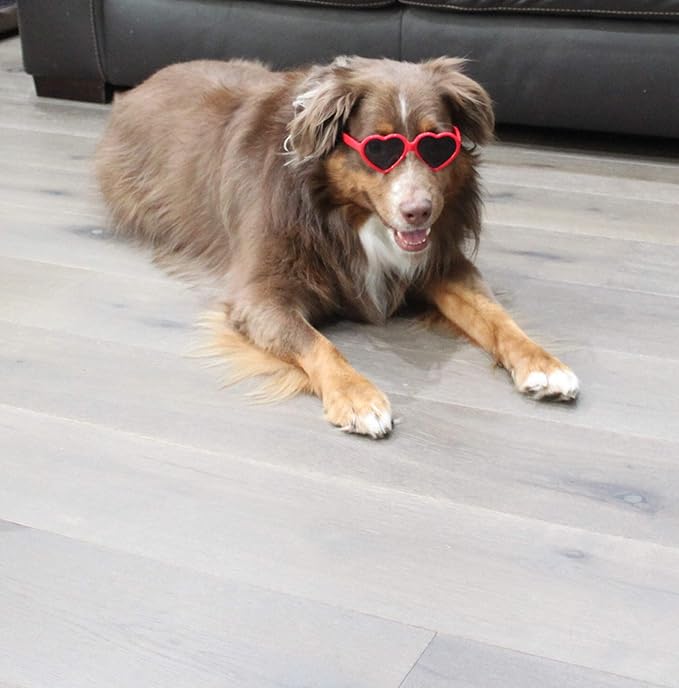 G012 Dog Pet Heart Shape Costume Prop Sunglasses Medium Breeds 20lb-40lbs (Red)