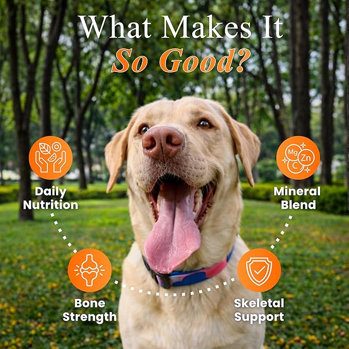 Multivitamin Chews for Dogs - Joint Support + Digestive Enzymes & Probiotics - Dog Multivitamins Chewable - Puppy & Senior Dog Vitamins - Daily Dog Multivitamin (90 Soft Chews)