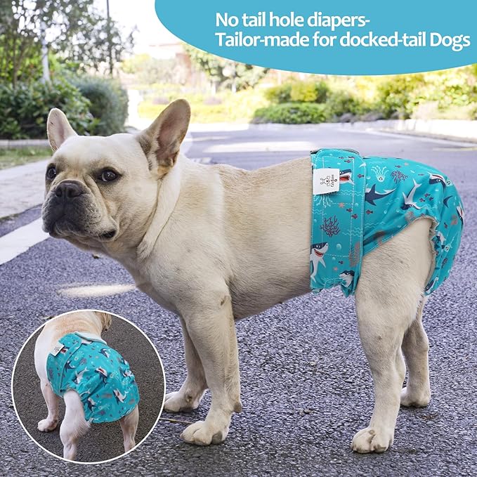 CuteBone Washable Dog Diapers Female No Tail Hole 3 Pack Reusable Doggie Period Training Pants for Docked-Tail Frenchie French Bulldog Boston Terrier Without Tail WWD25S
