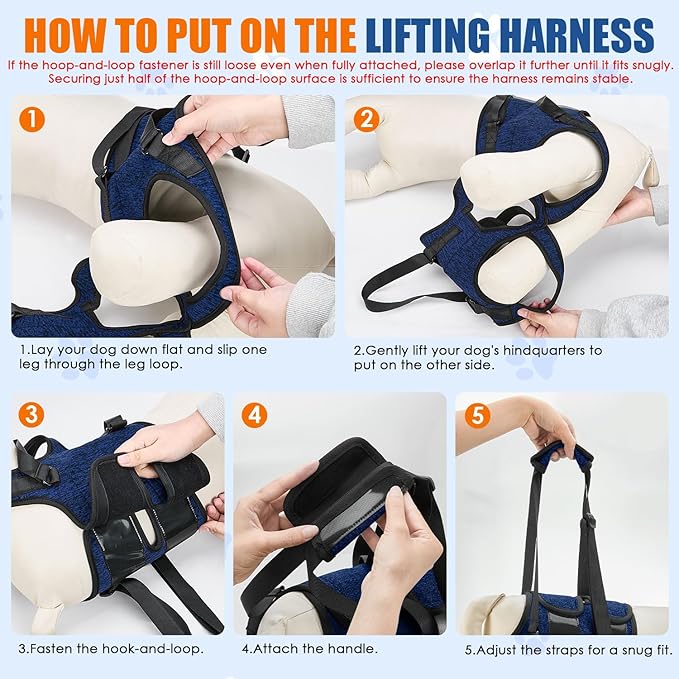SlowTon Dog Lift Harness - Adjustable Dog Sling for Medium Large Dogs, Hind Leg Support to Help Rehabilitate, Soft Padded Dog Support Harness for Elderly, Injured, Arthritic, Disabled Dogs(BL,M)