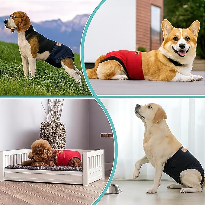 2-Pack Dog Diapers Female |Puppy Essentials Washable & Reusable,Suitable for Period Diapers, Dog Pants to Prevent Licking（Black&red）（S）