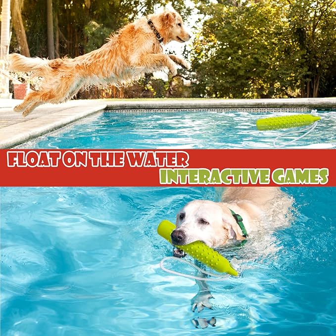 BINGPET Dog Float Bumper Toy,10.8 Inch Large Training Dummy Retrieving Bumpers Summer Pool Toy Tug Game for Large XL Dogs Retriever(Green)