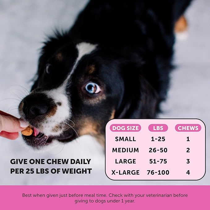 Dog Multivitamin Max Strength, 15-in-1 Multivitamin for Dogs – Dog Vitamins & Supplements with Glucosamine, Probiotics & Omega 3s – Supports Joint, Heart, Immune, Skin & Coat Health – Chicken (90 Ct)
