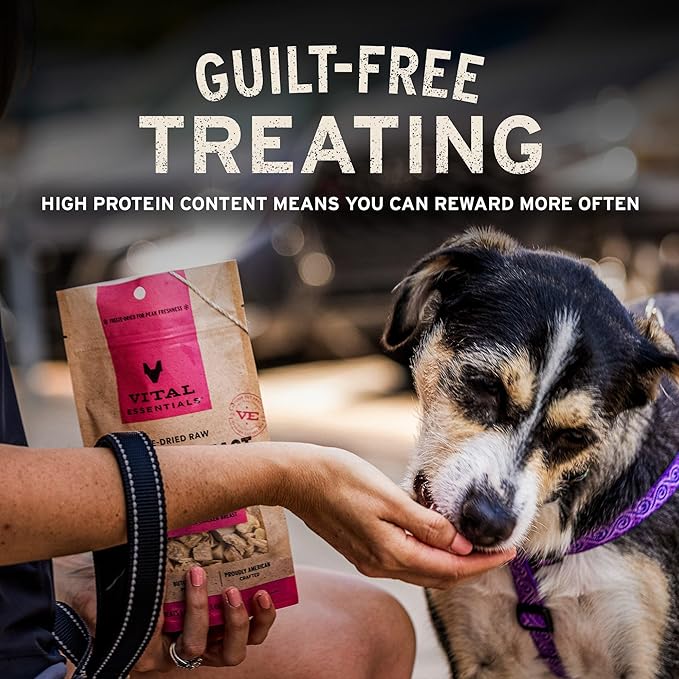 Vital Essentials Freeze Dried Dog Treats | Chicken Breast, Single Ingredient | Premium Quality | Grain Free Training Treats for Dogs, 3.75 oz Bag