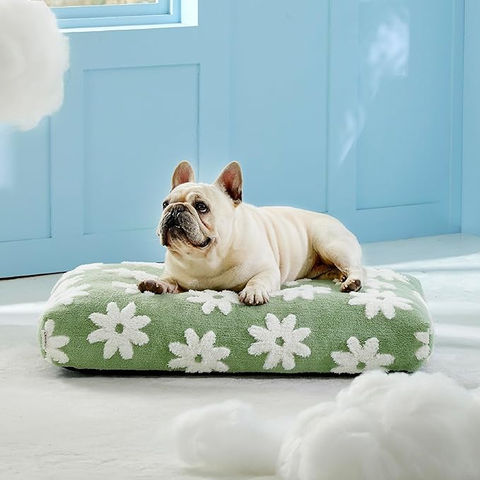 LE SURE Dog Beds Medium Size-Thick Shredded Chopped Foam Pet Bed as Gift for Indoor with Removable Cover, Cute Modern Fuzzy Plush & Anti Slip Bottom, Green