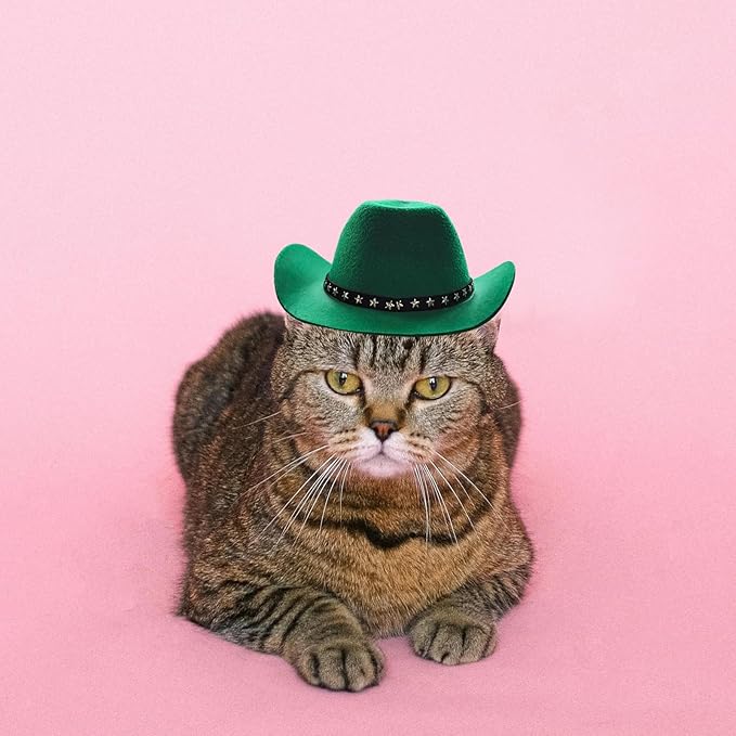 Pet Dog Costume Cowboy Hat Cosplay Cap Puppy Pet Dog Cat Holiday Pet Party Decoration (Green)