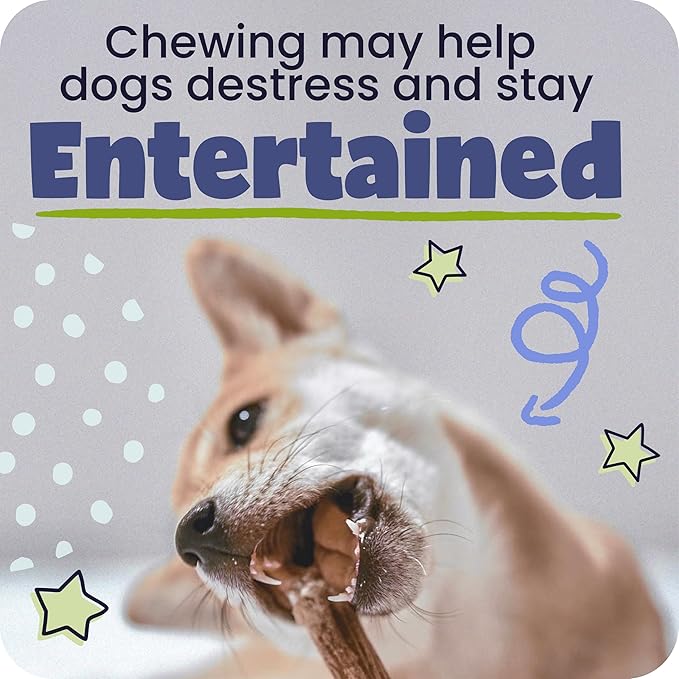 Pawstruck All-Natural 6" Bully Stick Springs for Dogs - Fun, Challenging, Rawhide-Free, 100% Beef, Single Ingredient Chew Bones - Fully Digestible, Low Odor - 3 Pack - Packaging May Vary