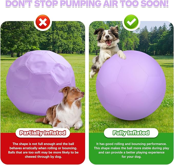 25" Herding Ball Set for Dogs and Horses, Durable Waterproof Dog Toy, Dual-Layer Large Interactive Pet Play Ball for Australian Shepherds, Cattle Dogs, Collies, and All Herding Breeds