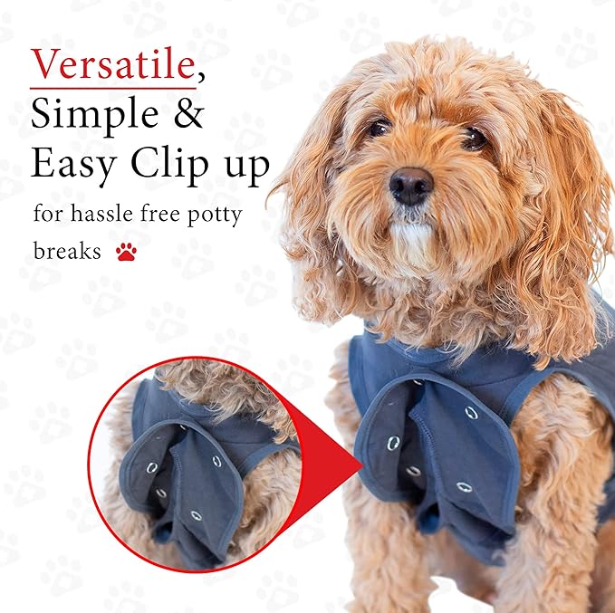 BellyGuard Dog Surgery Recovery Suit, Dog Onesie for Post-Op Care, Recovery Apparel for Female and Male, Surgical Body Cover for Canine Healing Support