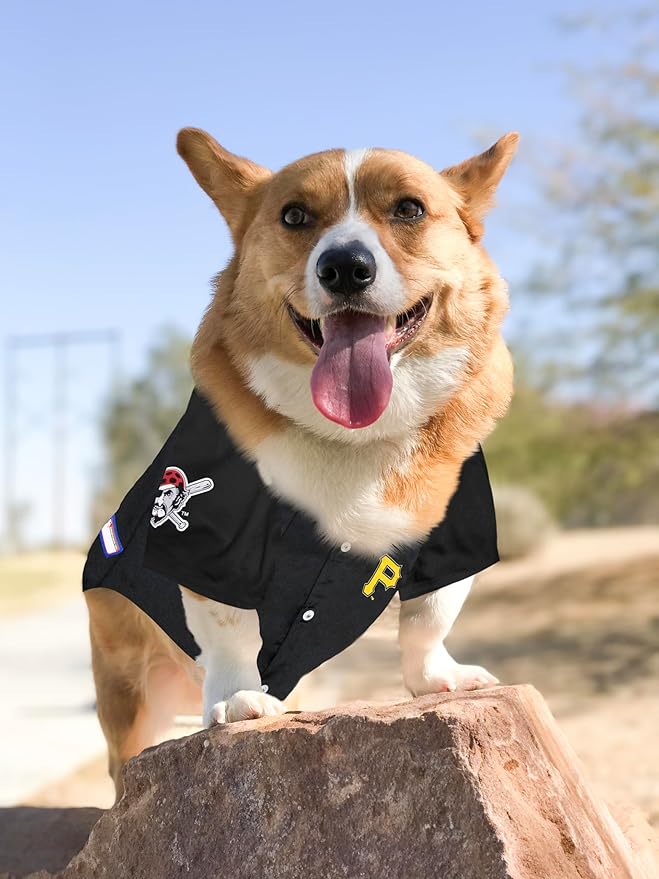 Official MLB Pittsburgh Pirates Pet Jersey for Dogs & Cats, Size XX-Large - Stylish Baseball Jersey for Your Furry Fan- Show Off Team Spirit with The Perfect Fan Apparel Gear for Pet, Dog & Cat