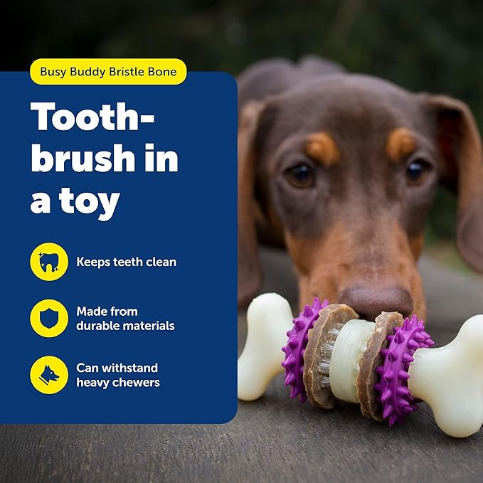 PetSafe Busy Buddy Bristle Bone - Chew Toy for Dogs - Boredom Relief & Dental Care - Durable Nylon Build with Rubber Nubs - Includes Treat Ring Refills - Dishwasher Safe Design